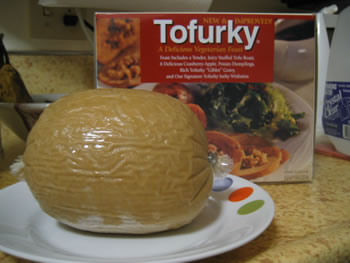 Thanksgiving Turkey(?)